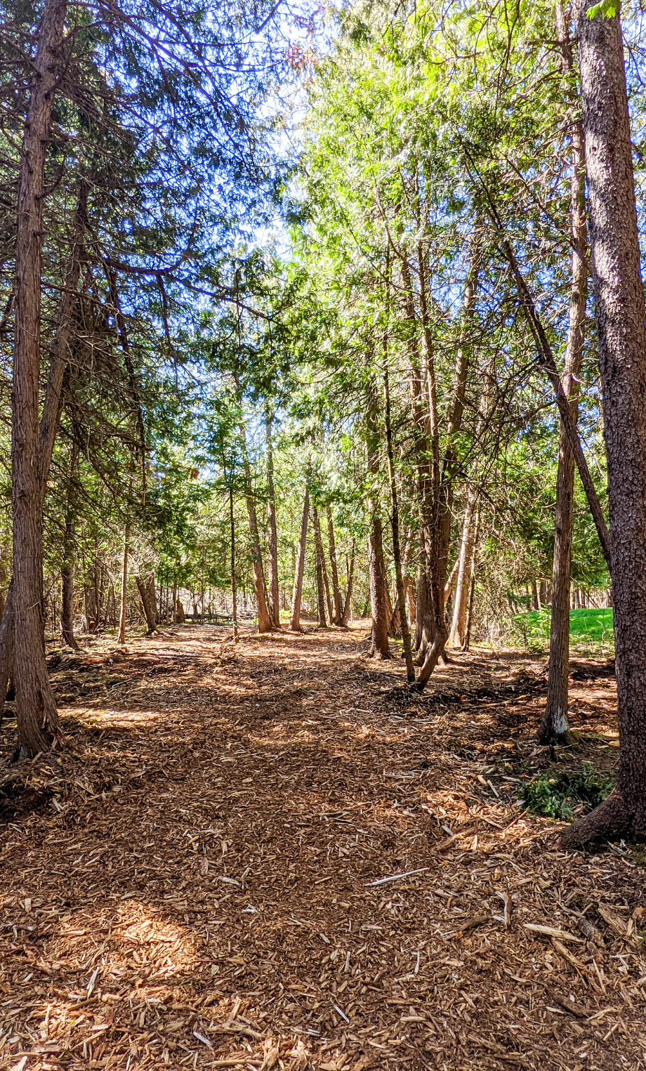 Untitled (920 x 1525 px) (3)